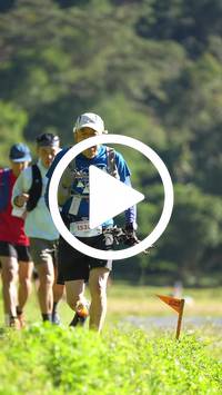 BIB:  <button type="button" onclick="openModal(26578153)" class="btn btn-primary btn-sm float-right" data-toggle="modal" data-target=".modal-high-quality">
                <i class="fa fa-download"></i> Download
                </button>